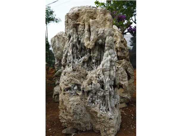 吸水石原石哪里买？