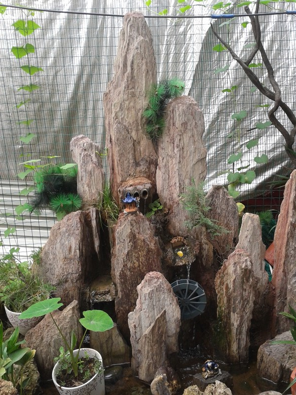 虎皮石那假山哪里有？